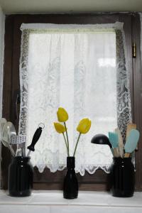 Fotografie z fotogalerie ubytování Гірські будиночки v destinaci Ždeněvo