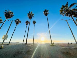 a group of palm trees on a beach at Modern 1 Bed Famous Venice 10B in Los Angeles