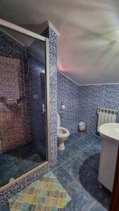 La salle de bains est pourvue d'une douche, de toilettes et d'un lavabo. dans l'établissement Pensiunea Harly, à Mahmudia