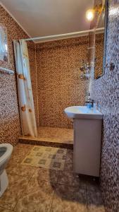 La salle de bains est pourvue d'un lavabo, d'une douche et de toilettes. dans l'établissement Pensiunea Harly, à Mahmudia