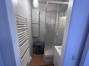 a small bathroom with a shower and a sink at Chez Anthony in Boulogne-sur-Mer