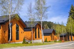a wooden house with a black roof at Phoenix Medical Resort in Skhidnitsa