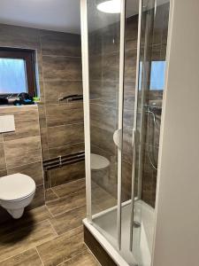 a bathroom with a shower and a toilet at Das Rosenhaus in Hargesheim in Hargesheim