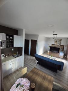 Kuchyň nebo kuchyňský kout v ubytování Apartmány Pulse