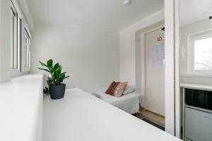 タリンにあるApartment for one - greyの白いベッドと鉢植えの植物が備わるベッドルーム1室