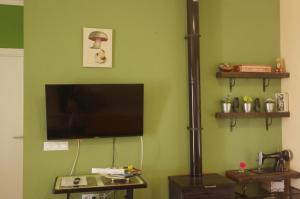 sala de estar con TV de pantalla plana en una pared verde en Villa Saudade, casa entre encinas, en El Castillo de las Guardas