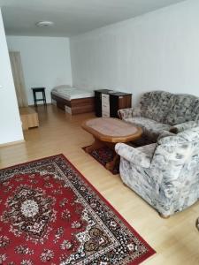 sala de estar con sofá, mesa y alfombra en Zimmer am Marktplatz Wernberg en Wernberg-Köblitz