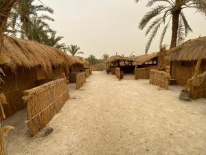 a group of huts on the beach with palm trees at Paloma Camp in Siwa