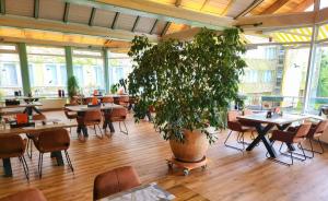 a large plant in a room with tables and chairs at Harz Hotel Vogelberg in Blankenburg
