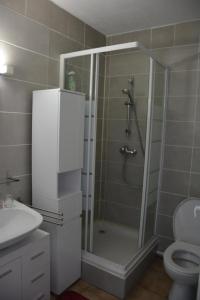 La salle de bains est pourvue d'une douche, de toilettes et d'un lavabo. dans l'établissement Maison avec 2 terrasses à 400 mètres de la plage, au Barcarès