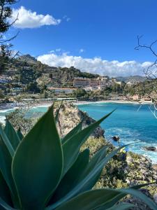 陶爾米納的住宿－L'host in Taormina，从植物上欣赏海滩美景