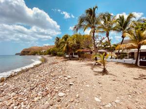 a beach with palm trees on a rocky shore at Kay Alice - Beachfront Villa in Le Carbet