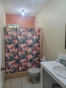 a bathroom with a shower curtain with a toilet and a sink at B Aparts Hotel in Coxen Hole