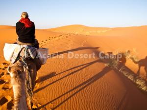 um homem montado num camelo no deserto em Acacia Desert Camp em Merzouga