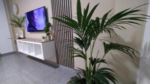 Una televisión o centro de entretenimiento en CASA JOSE "Acogedor Apartamento cerca de la playa"