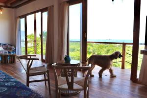 Φωτογραφία από το άλμπουμ του Kiran Lodging Ayampe σε Puerto Rico