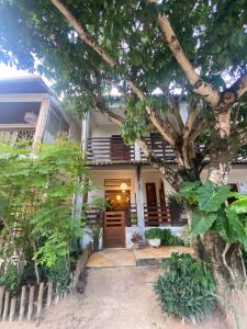 a house with a tree in front of it at Pousada Munguba in Jericoacoara