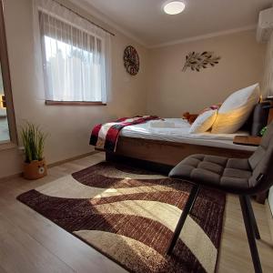 ein Schlafzimmer mit einem Bett, einem Stuhl und einem Teppich in der Unterkunft Dénár Apartman in Veresegyház