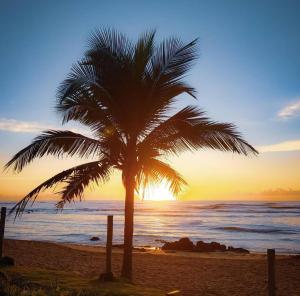 uma palmeira na praia com o pôr do sol em Solar de Manguinhos Flat em Manguinhos
