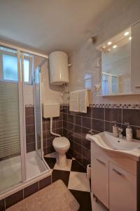 a bathroom with a toilet and a shower and a sink at Apartmani Antony in Zaton