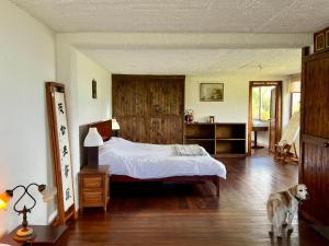 グアタビータにあるVilla el tramontoのベッドルーム1室(ベッド1台付)