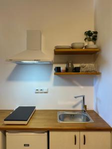 a kitchen counter with a sink and a shelf at Papanestoras Apartments in Kardamili