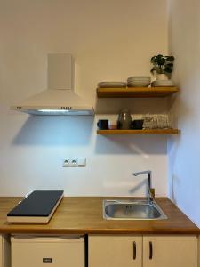 Kuchyňa alebo kuchynka v ubytovaní Papanestoras Apartments
