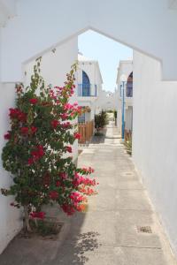 Una calle con flores rosas en un edificio blanco. en PlayMar bung 167, en Maspalomas