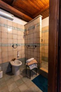 a bathroom with a toilet and a shower and a sink at Your luxury room Civitella in Civitella dʼAgliano