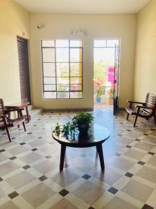 une chambre avec une table et une plante en pot sur elle dans l'établissement Hotel Rex Ciudad Valles, à Ciudad Valles