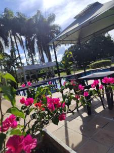a table and benches with pink flowers on a patio at Tierra Linda Campestre in Guamal