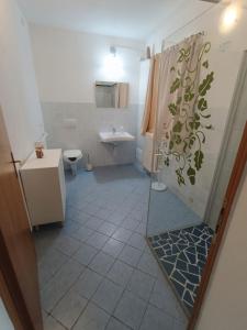a bathroom with a shower and a toilet and a sink at Casa di Alvise in Lauco