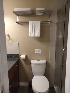 a bathroom with a toilet and a shower and towels at Semi Centre House in White Rock