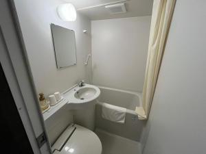 a small bathroom with a toilet and a sink at Takamiya Hotel Lucent in Zao Onsen