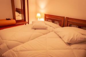 two twin beds in a bedroom with a mirror at Casa NR 2 Hospedaria in Tiradentes +19 photos