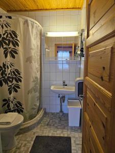 een badkamer met een douche, een wastafel en een toilet bij Luppoloma in Saariselkä