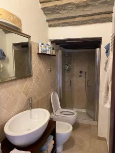 La salle de bains est pourvue d'un lavabo, de toilettes et d'une douche. dans l'établissement Impruneta Garden, à Impruneta