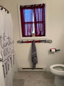 a bathroom with a toilet and a window with skis at Casa di Montagna/5BR/3Bath/NearResorts/PetsAllowed in Pocono Lake