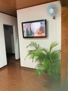 TV en una pared con una planta en una habitación en Hostel Casa Mar, en Liberia