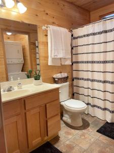 ein Bad mit einem WC, einem Waschbecken und einer Dusche in der Unterkunft Whispering Pines in Overgaard