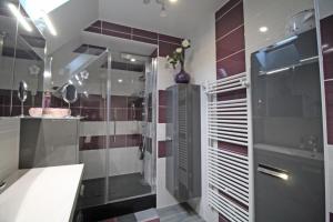 uma casa de banho com uma cabina de duche ao nível do chão e um lavatório. em Les deux chenes em Saint-Denis-des-Murs