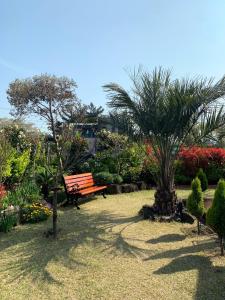 eine Parkbank in einem Garten mit einer Palme in der Unterkunft 제주 함덕해수욕장&룸4개&까페같은 감성숙소 in Hamdŏng-ni