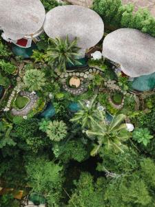 an overhead view of a garden with trees and plants at The Udaya Resorts and Spa in Ubud