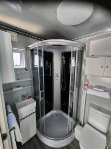 リッチモンドにあるOur Casettaのシャワーとトイレ付きの小さなバスルーム