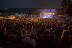 a crowd of people watching a concert at night at Parkside Flat - Seacliff Beach Suites in Leamington