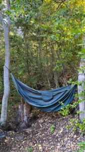 un hamac bleu posé au sol à côté d'un arbre dans l'établissement Melitrekan Cabaña para dos personas, à Melipeuco