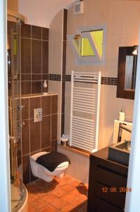 La salle de bains est pourvue d'une douche, de toilettes et d'un lavabo. dans l'établissement B&B Chez Marie, à Beaune