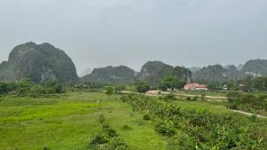 un campo de hierba con montañas en el fondo en Thắng Thủy Tam Cốc Homestay, en Ninh Binh