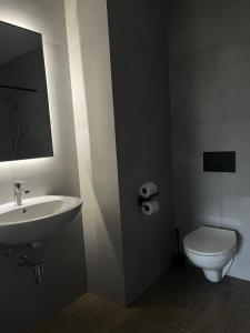 a bathroom with a white sink and a toilet at Włostowicka Ostoja Apartament in Puławy