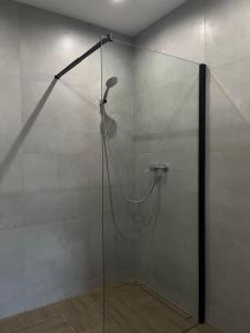 y baño con ducha y puerta de cristal. en Włostowicka Ostoja Apartament, en Puławy